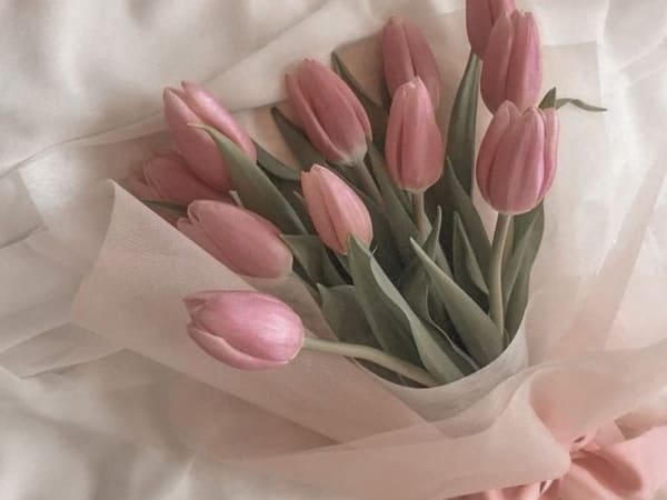 Image for Tulip Key Accord