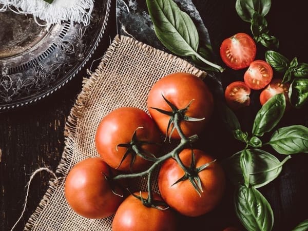 Image for Tomato Leaf Key Accord