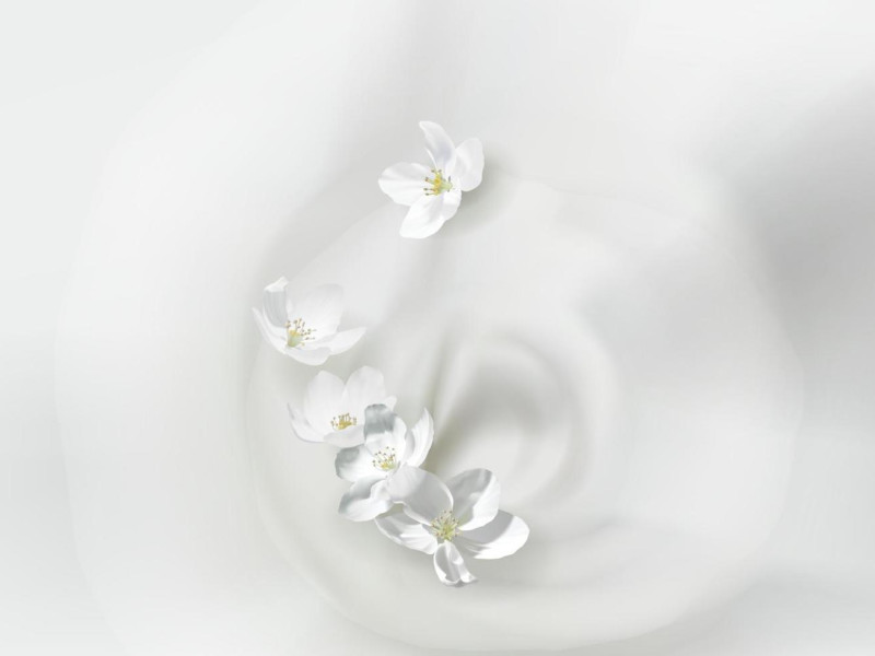 Waxy Lactone molecular structure or representation