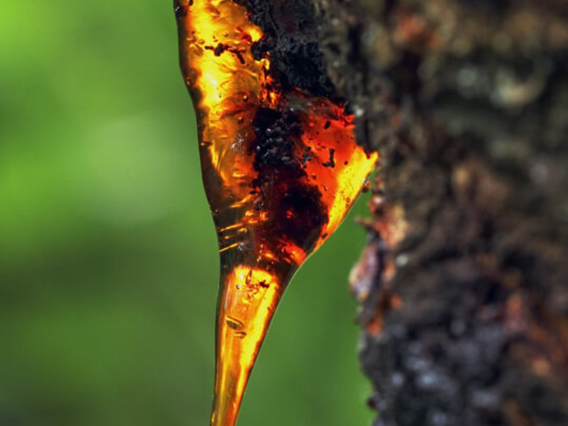 Myrrh Resinoid molecular structure or representation