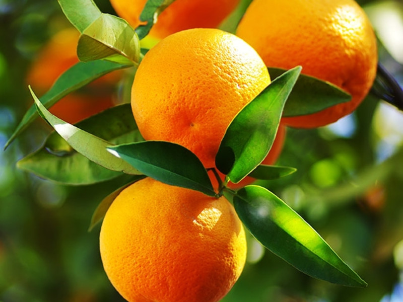 Orange Oil Terpenes molecular structure or representation