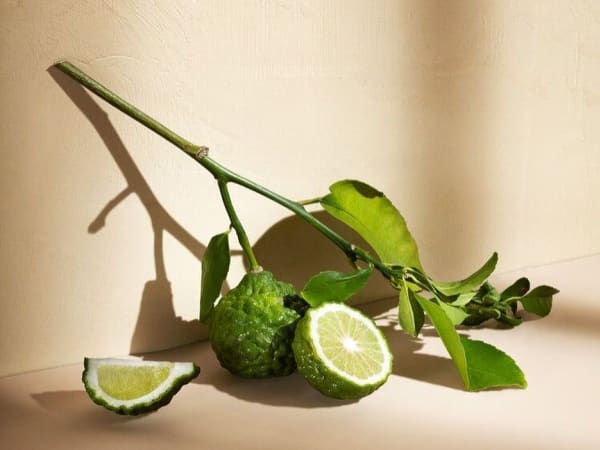 Image for Bergamot Vanilla Base