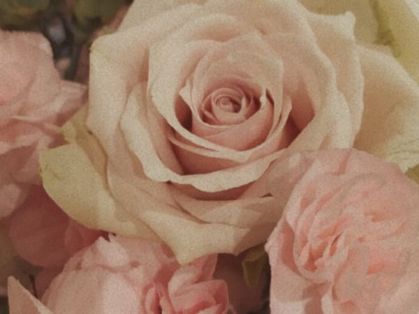 Image for Accord N° 207626 Rose Jasmin (Firmenich)