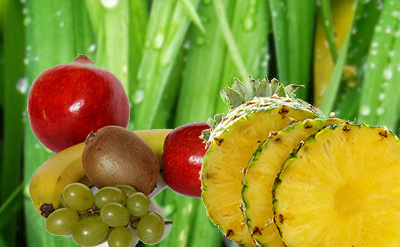 Allyl Ionone Cetone V molecular structure or representation