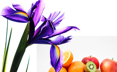 Alpha-Irone molecular structure or representation