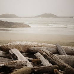 Andrane (Iff) molecular structure or representation