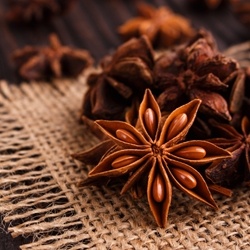 Star Anise Essential Oil molecular structure or representation