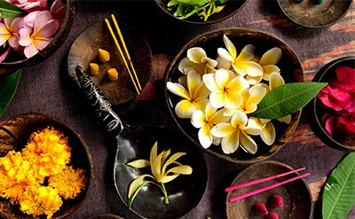 Bay West Indies Essential Oil molecular structure or representation