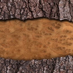 Benzoin Essence molecular structure or representation