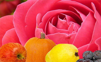 Benzophenone molecular structure or representation