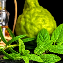 Bergamot Mint molecular structure or representation