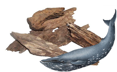 Cedroxyde molecular structure or representation