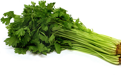 Celery Seed Essential Oil molecular structure or representation