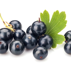 Damascone Beta molecular structure or representation