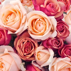 Delta-Damascone molecular structure or representation