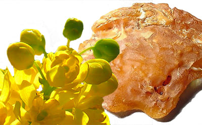 Dihydro-Beta-Ionone molecular structure or representation