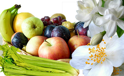 Dihydro-Jasmone molecular structure or representation