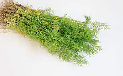 Dill Essential Oil molecular structure or representation