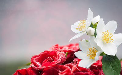 Dimethyl Benzyl Carbinyl Acetate molecular structure or representation