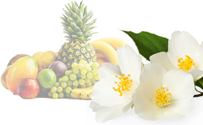 Dimethyl Benzyl Carbinyl Butyrate molecular structure or representation