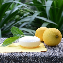 Ethyl Undecylenate molecular structure or representation