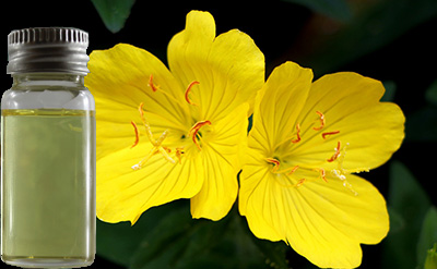 Evening Primrose Oil - Fixed Oil molecular structure or representation