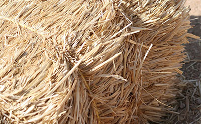 Hay Absolute molecular structure or representation