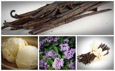 Heliotropal molecular structure or representation