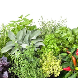 Herboxane (Givaudan) molecular structure or representation