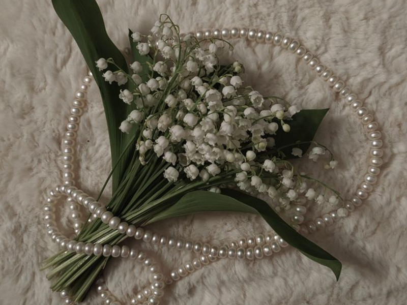 Hydroxycitronellal molecular structure or representation