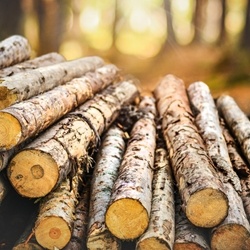 Isolongifolanone Givaudan molecular structure or representation