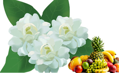 Jasmine Sambac Absolute molecular structure or representation