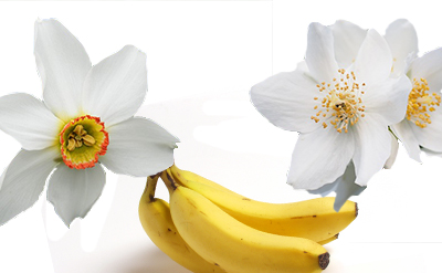 Jessemal Jasmonyl molecular structure or representation