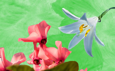 Lyral molecular structure or representation