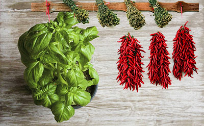 Methyl Chavicol molecular structure or representation