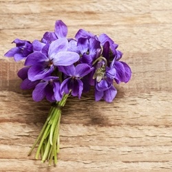 Methyl Ionone Beta Coeur (Iff) molecular structure or representation