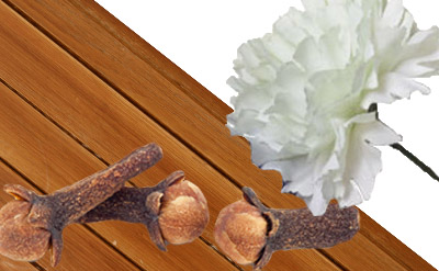 Methyl Isoeugenol molecular structure or representation