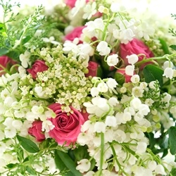 Muguet Alcohol (Symrise) molecular structure or representation