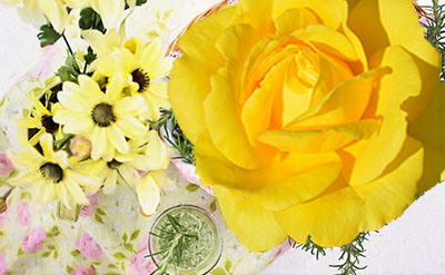 Nerolidol molecular structure or representation