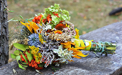 Nopyl Acetate molecular structure or representation