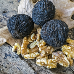 Nuezate (Bedoukian) molecular structure or representation