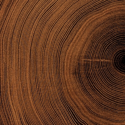 Oakwood CO2 Extract molecular structure or representation