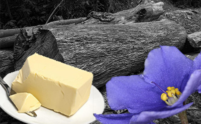 Image for Orris Concrete Orris Butter