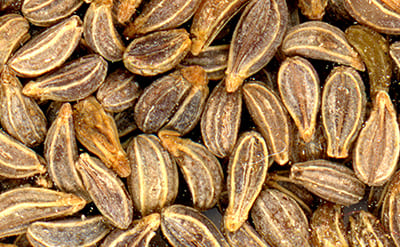 Parsley Seed Essential Oil molecular structure or representation