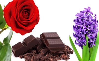 Phenyl Ethyl Isoamyl Ether molecular structure or representation