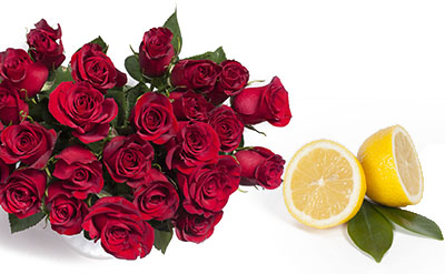 Rhodinol Ex Citronella molecular structure or representation