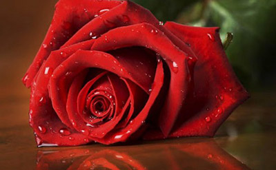 Rosalva molecular structure or representation