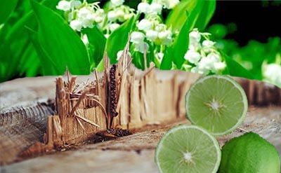 Rosewood Leaf Essential Oil molecular structure or representation