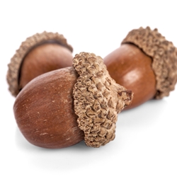 Tabanon molecular structure or representation