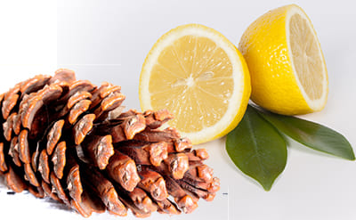 Terpinolene molecular structure or representation